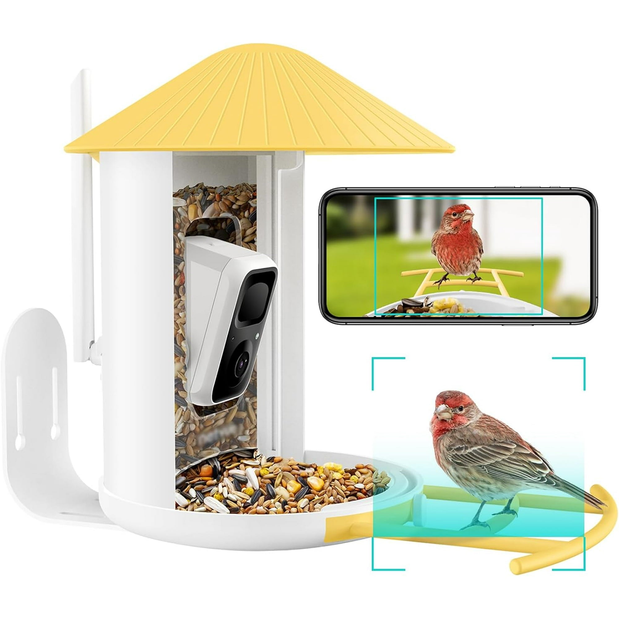 Smart Bird Feeder with Camera, Free AI Forever, Auto Capture & Identify 6000+ Bird Species, Bird Videos for Birdwatching